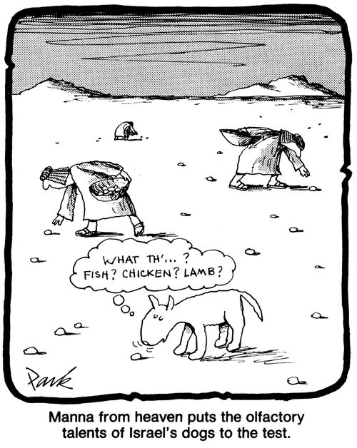 'Manna from heaven puts the olfactory talents of Israel's dogs to the test.'
