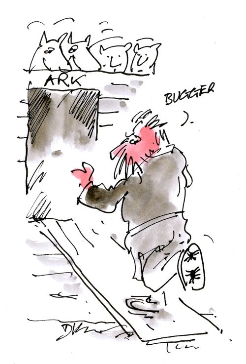 Noah on the Ark: Bugger.