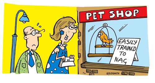Husband's worst pet - Easily Trained to nag.