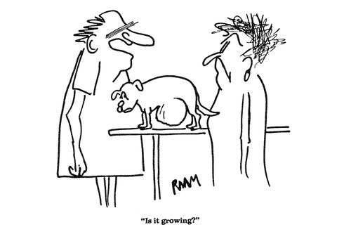'Is it growing?'