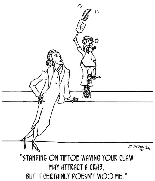 'Standing on tiptoe waving your claw may attract a crab, but it certainly doesn't woo me.'
