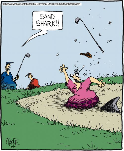 'Sand shark!!'