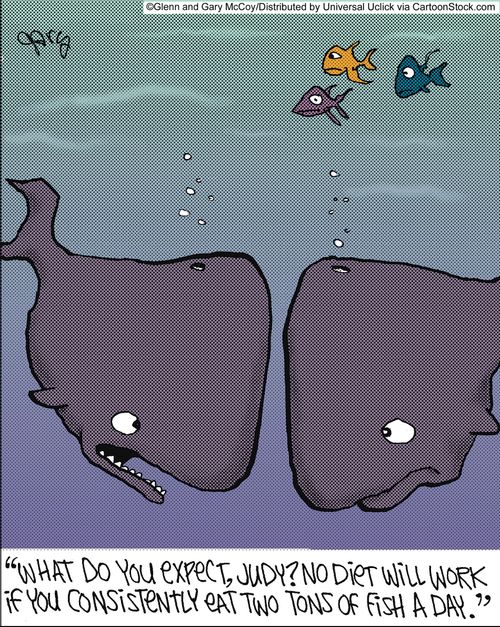 'What do you expect, Judy? No diet will work if you consistently eat two tons,of fish a day.'