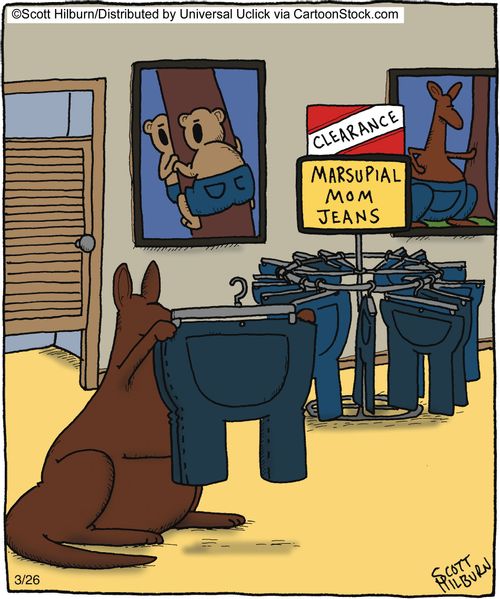 Marsupial Mom Jeans,
