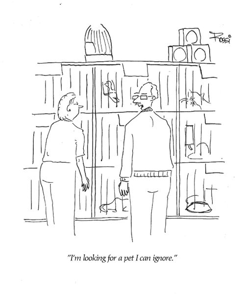 'I'm looking for a pet I can ignore.'