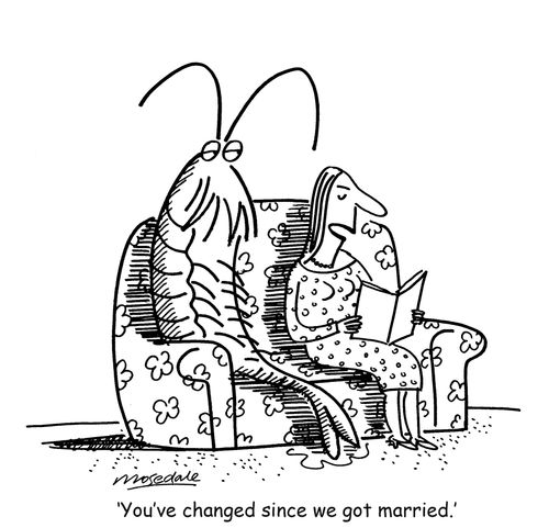 'You've changed since we got married.'