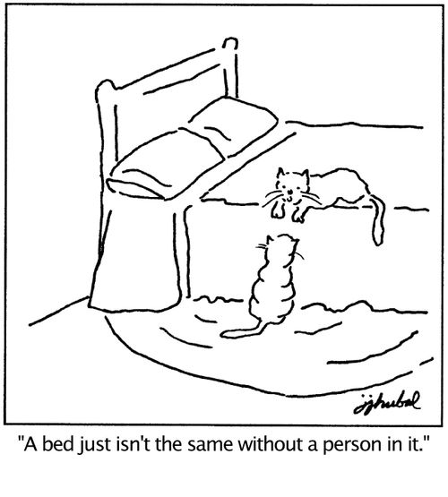'A bed just isn't the same without a person in it.'