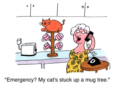 'Emergency? My cat's stuck up a mug tree.'