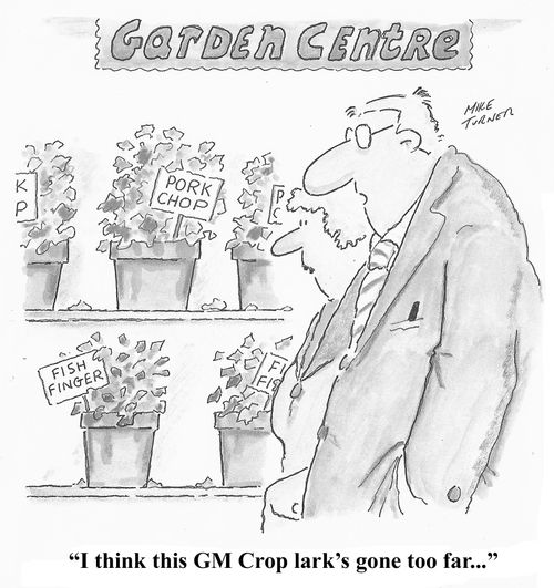GM Crop Lark