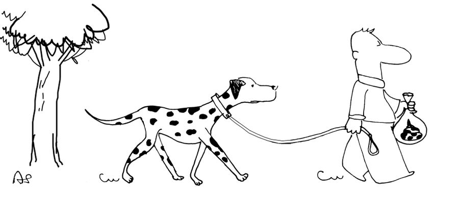 Dalmatian with Spotty Poop.