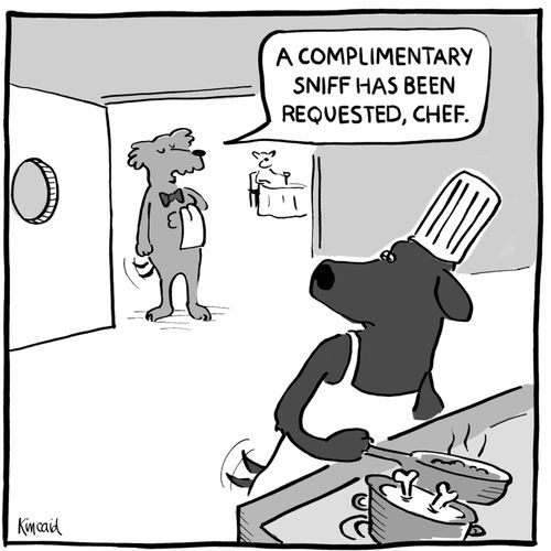 'A complimentary sniff has been requested, Chef.'