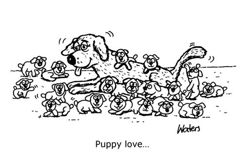 Puppy love...