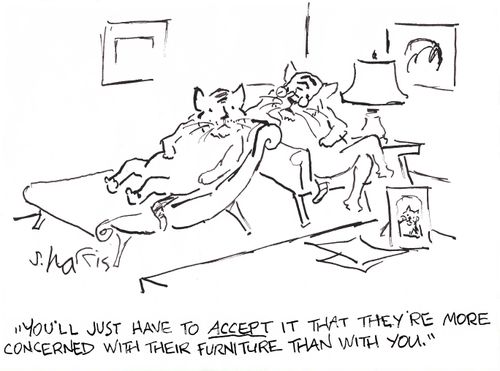 'You'll just have to accept it that they're more concerned with their furniture than with you.'