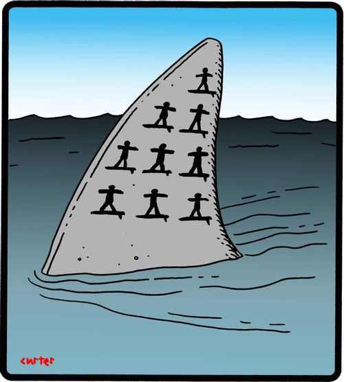 Surfer tally.