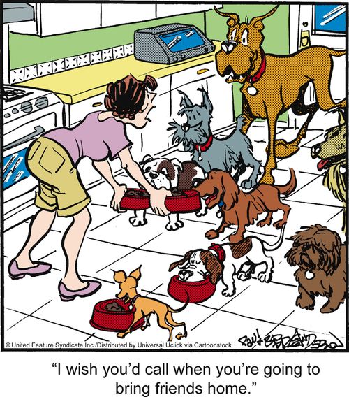 'I wish you'd call when you're going to bring friends home.'