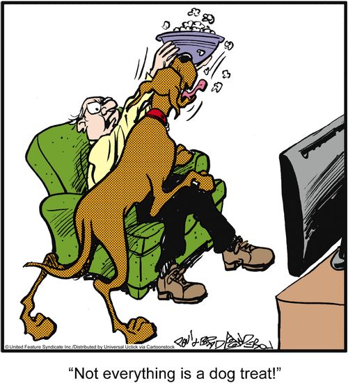 'Not everything is a dog treat!'