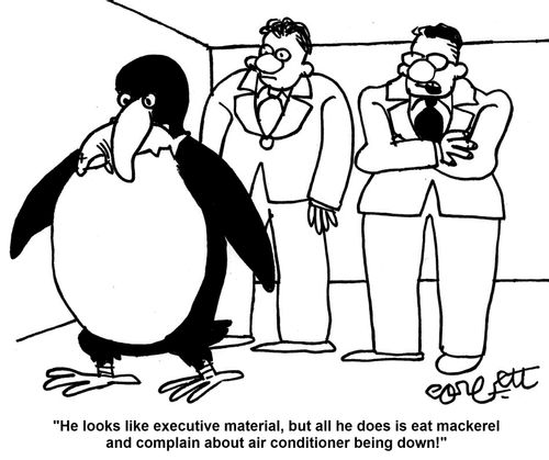 'He looks like executive material, but all he does is eat mackerel and complain about the air conditioner being down!'