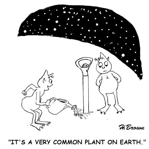 'It's a very common plant on earth.'