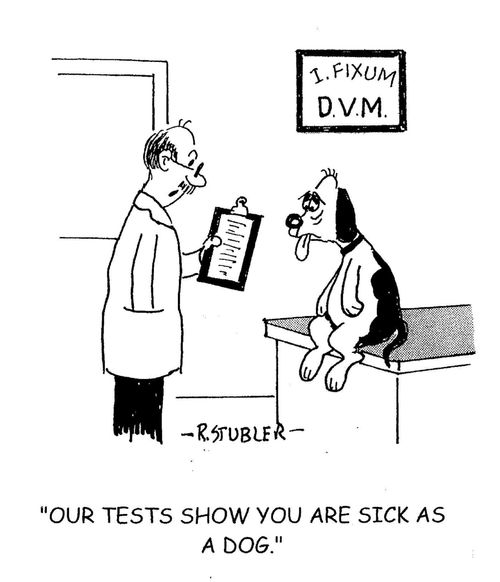'Our tests show you are sick as a dog.'