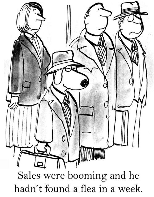 Sales were booming and he hadn't found a flea in a week.