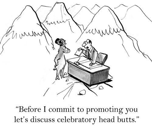 'Before I commit to promoting you let's discuss celebratory head butts.'