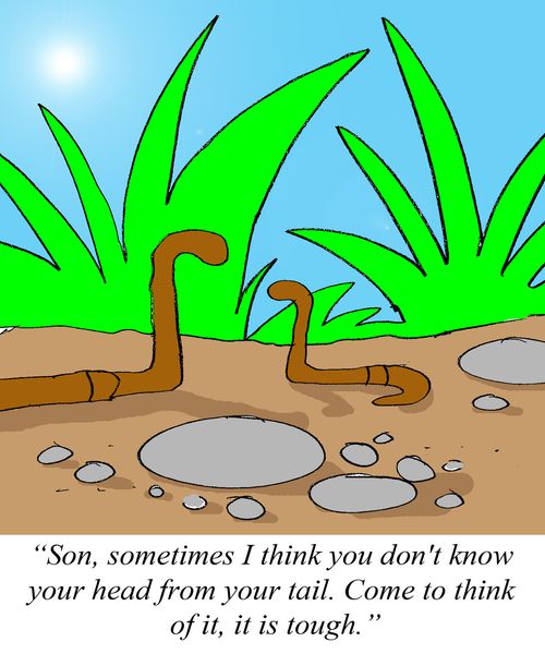 'Son, sometimes I think you don't know your head from your tail. Come to think of it, it is tough.'
