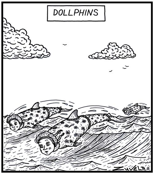Dollphins