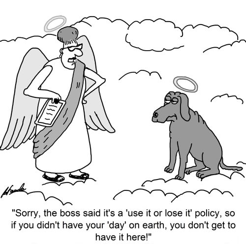 'Sorry, the boss said it's a 'use it or lose it' policy, so if you didn't have your 'day' on earth, you don't get to have it here!'