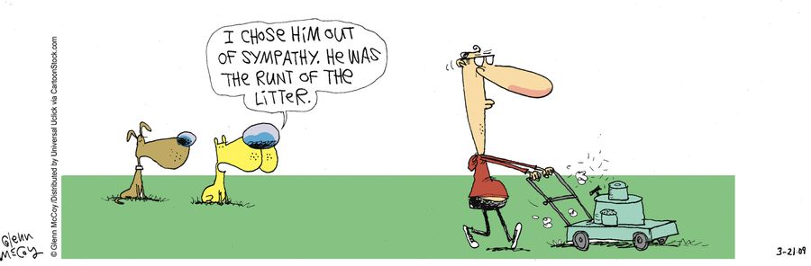 'I chose him out of sympathy. He was the run of the litter.'