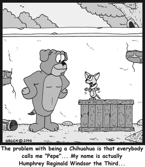 'The problem with being a Chihuahua is that everybody calls me 'Pepe'... My name is actually Humphrey Reginal Windsor the Third...'