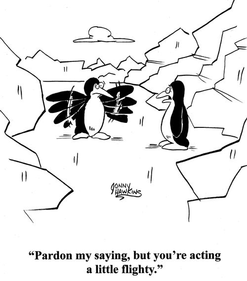 Penguin to wing-flapping penguin: 'Pardon my saying, but you're acting a little flighty.'