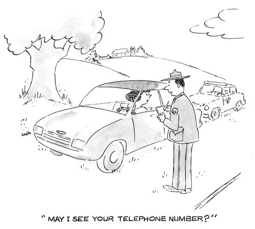 'May I see your telephone number?'