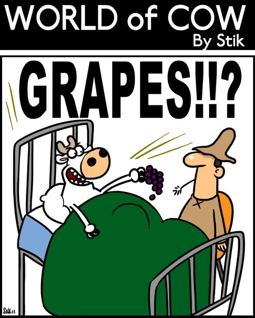 GRAPES!!?