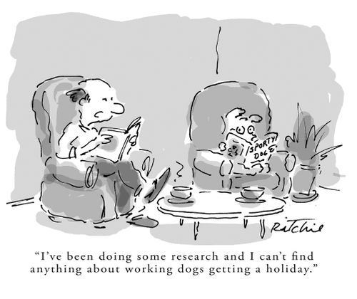 'I've been doing some research and I can't find anything about working dogs getting a holiday.'