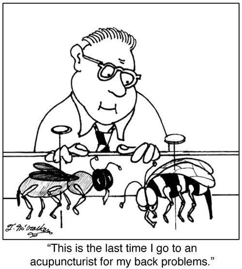 This is the last time I go to an acupuncturist for my back problems.