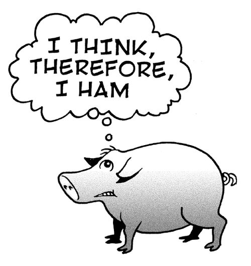 'I think therefore I ham.'