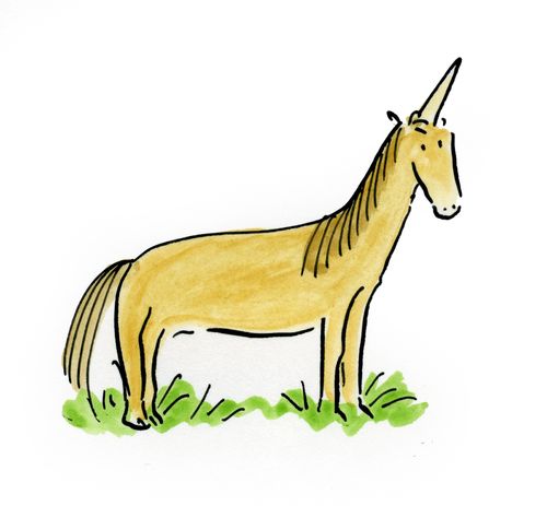 Unicorn