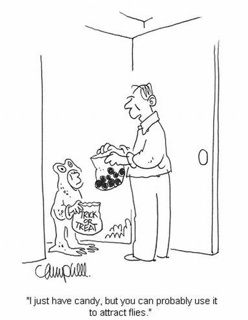 'I just have candy, but you can probably use it to attract flies.'