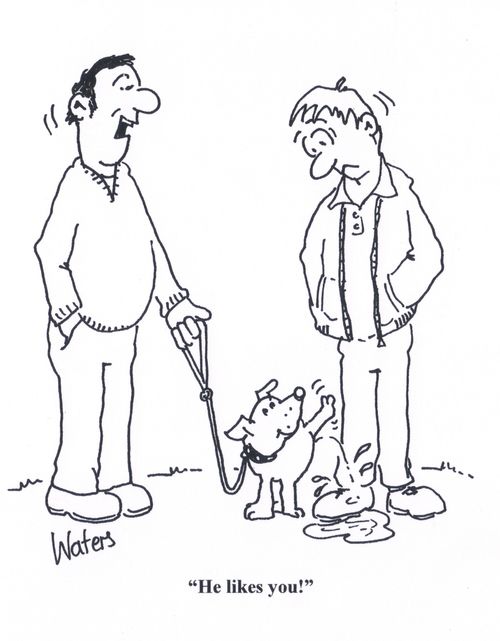 'He likes you!'