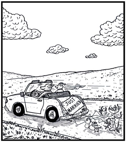 The Canine's version of cans tied to the back of a wedding car driving off with Cats attached