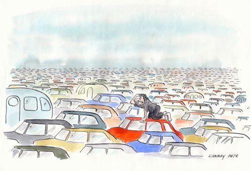 Traffic Everywhere