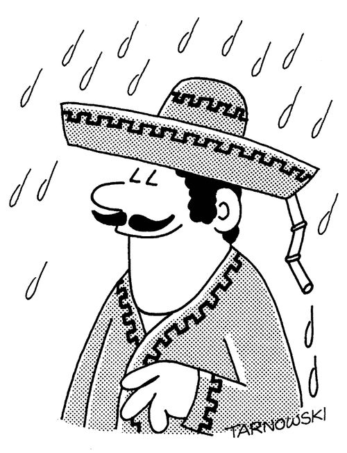 Drainpipe in a sombrero.