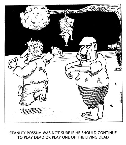 'Stanley Possum was not sure if he should continue to play dead or play one of the living dead.'