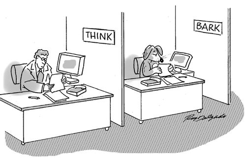 Office cubicles.