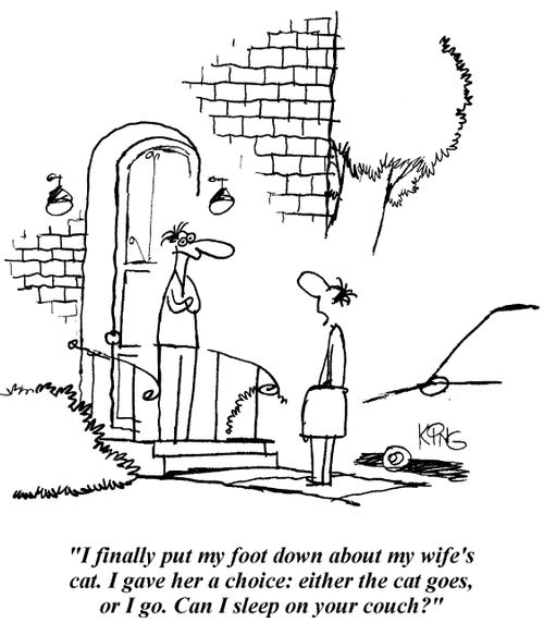 '...I gave her a choice: either the cat goes, or I go...'