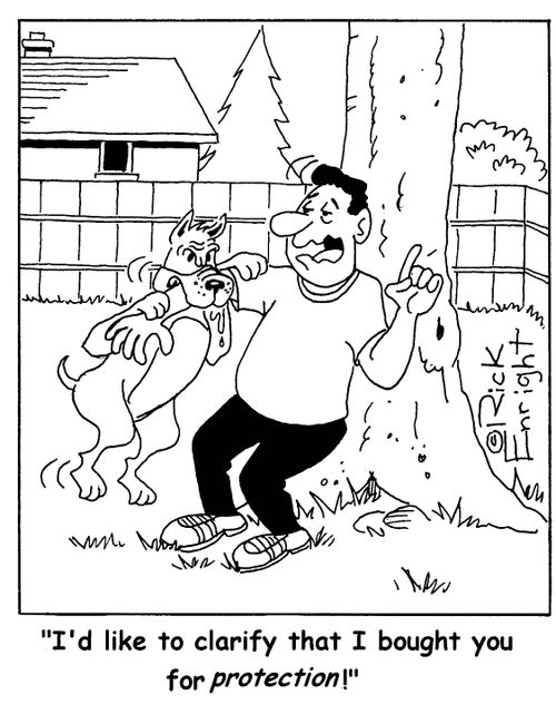 'I'd like to clarify that I bought you for protection!'