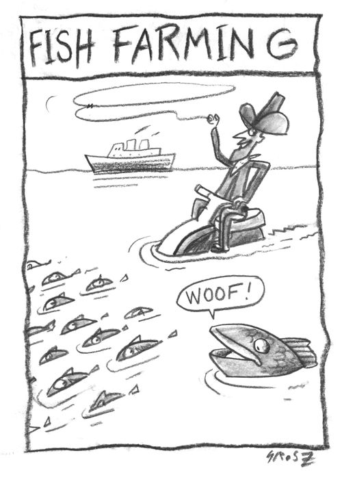 Fish Farming
