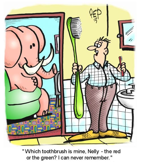 "Which toothbrush is mine? The red or the green? I can never remember, Nelly?"