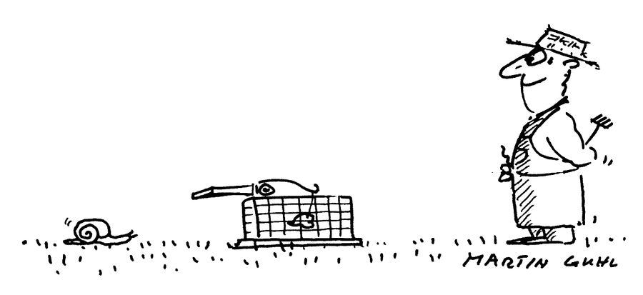 Snail trap