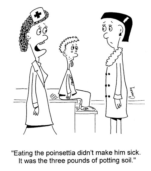 "Eating the poinsettia didn't make him sick. It was the three pounds of potting soil."